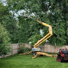 Best Sod Installation  in Hermann, MO